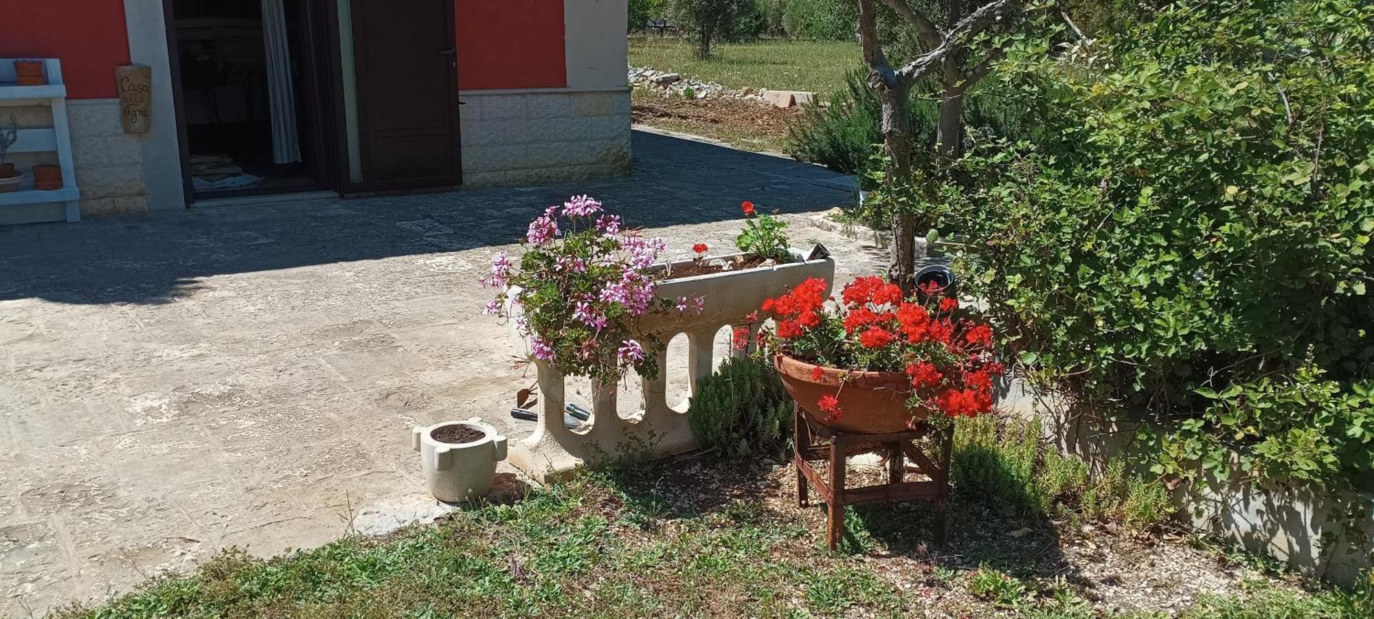 Casa Alle Vigne 滨海波利尼亚诺 外观 照片