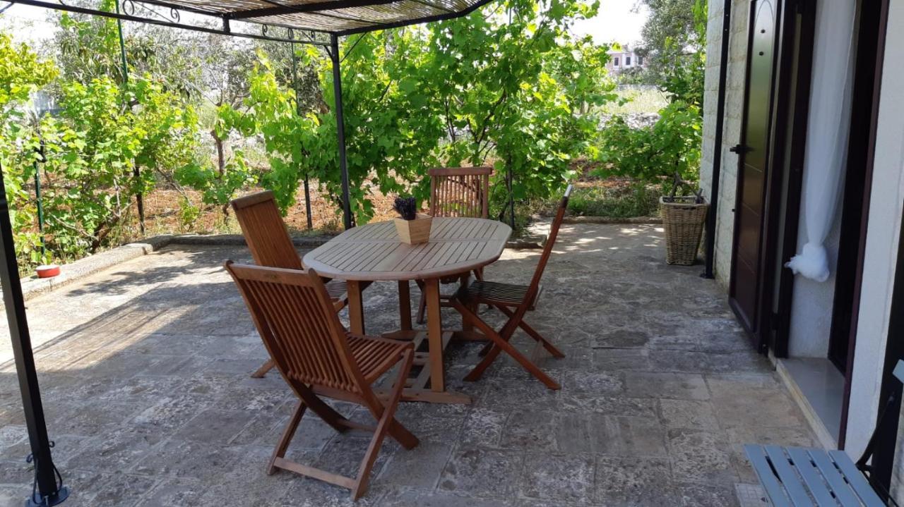 Casa Alle Vigne 滨海波利尼亚诺 外观 照片