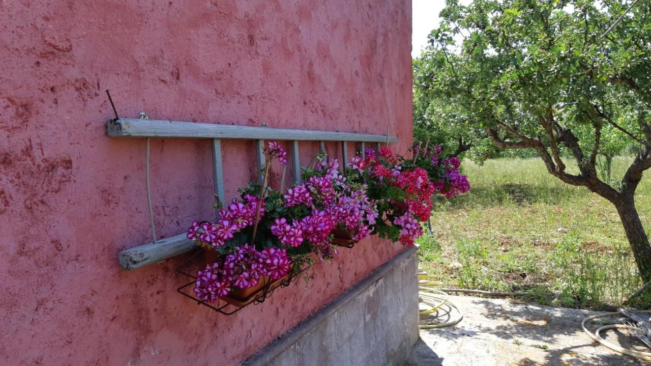 Casa Alle Vigne 滨海波利尼亚诺 外观 照片